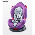   Caretero Sport Classic (purple  2015)